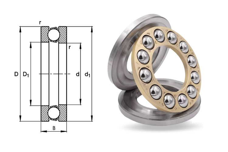 Thrust ball bearing1.jpg