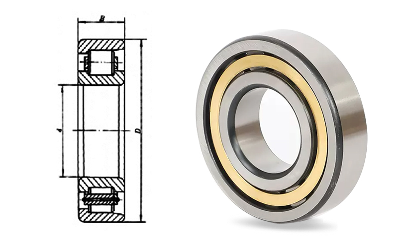 Cylindrical roller bearingNF.jpg