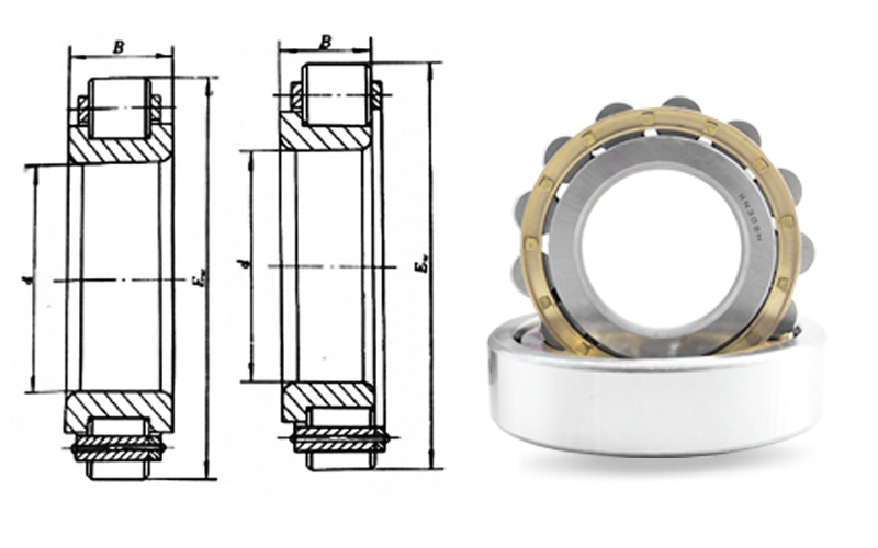 Cylindrical roller bearingRN.jpg