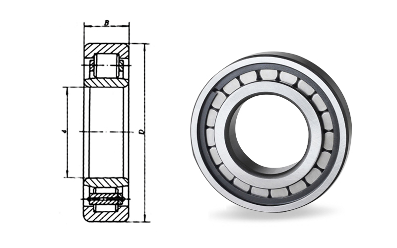 Cylindrical roller bearingNCF.jpg