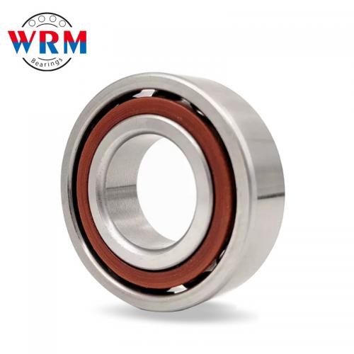 Angular Contact Ball Bearing 7200 series