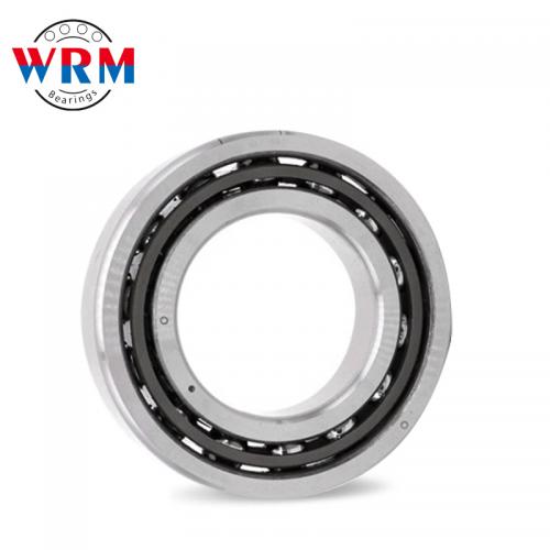 Angular Contact Ball Bearing 7300  series