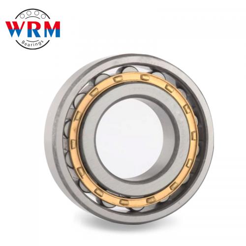 Cylindrical roller bearing N1010 series